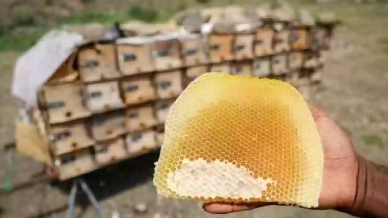  «العسل اليمني» في الكويت كله من إنتاج الصين